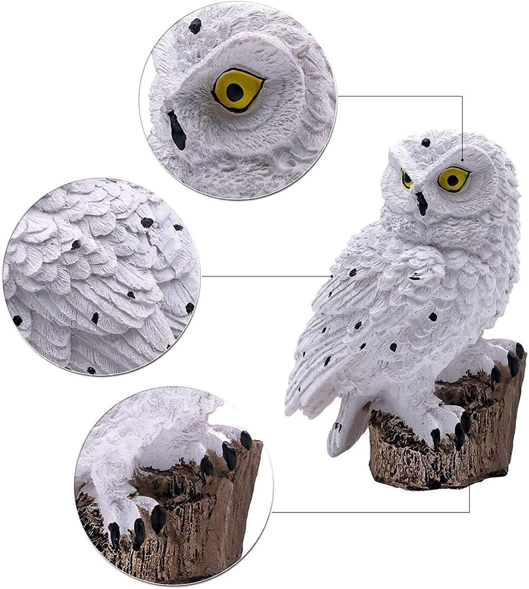 LumiHoot™ | Soluggla Lampa | Lys upp din trädgård!